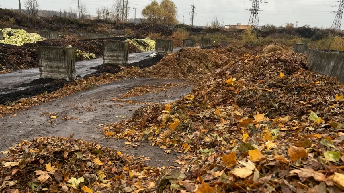 Львів перетворює тонни осіннього листя на добриво