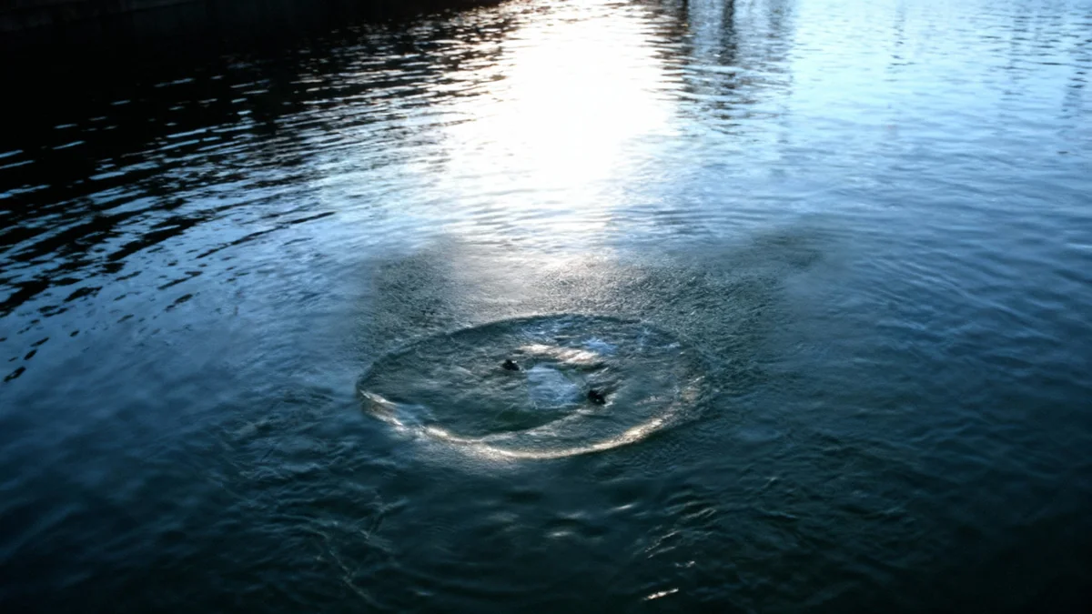 Тривожні дні на Львівщині: ДТП, отруєння та трагічні втрати